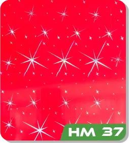 HM 37